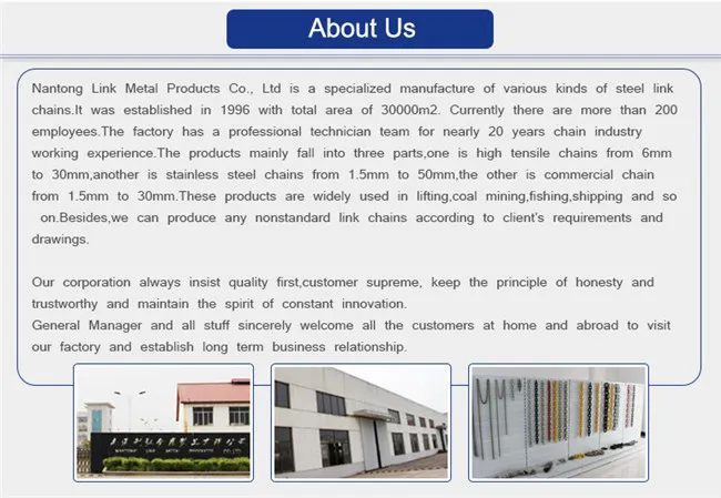 13mm En818-2 Alloy Black Welded Link Chain