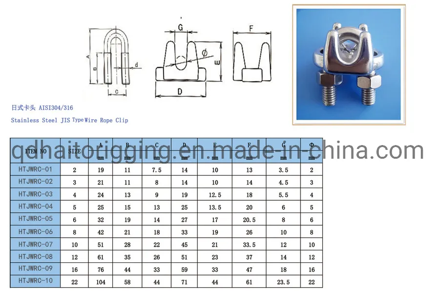 AISI 304/316 Wire Rope Clip with High Quality