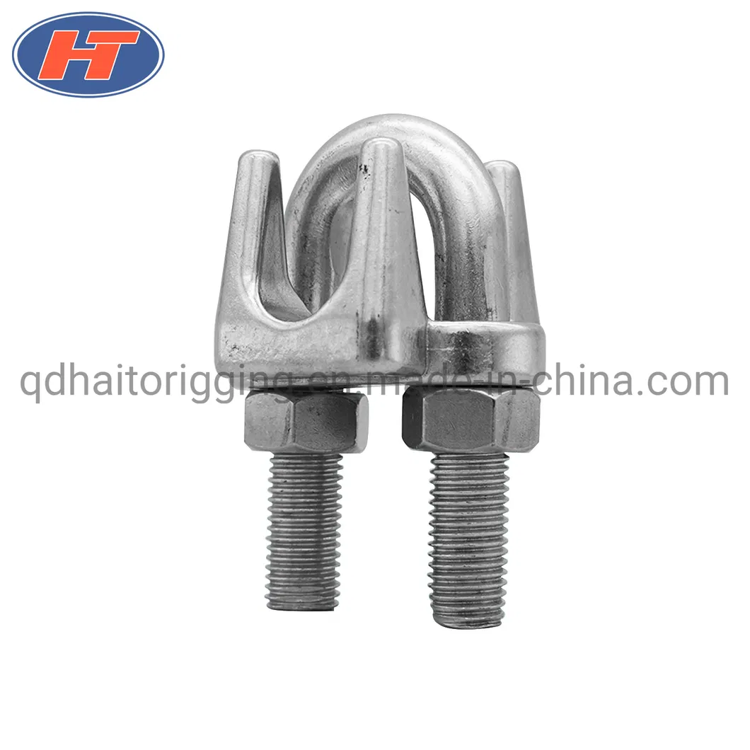 AISI 304/316 Wire Rope Clip with High Quality
