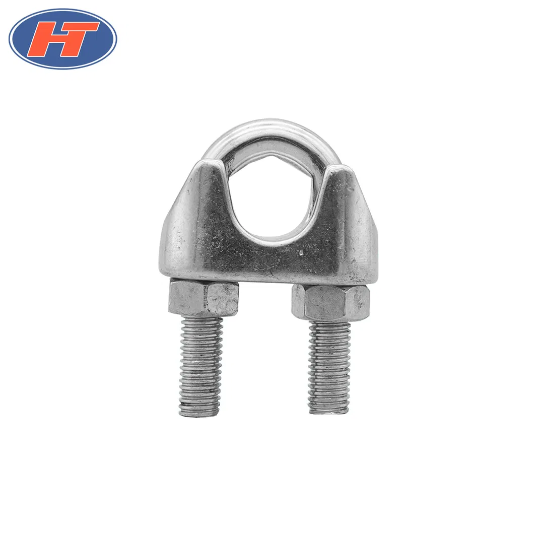 AISI 304/316 Wire Rope Clip with High Quality