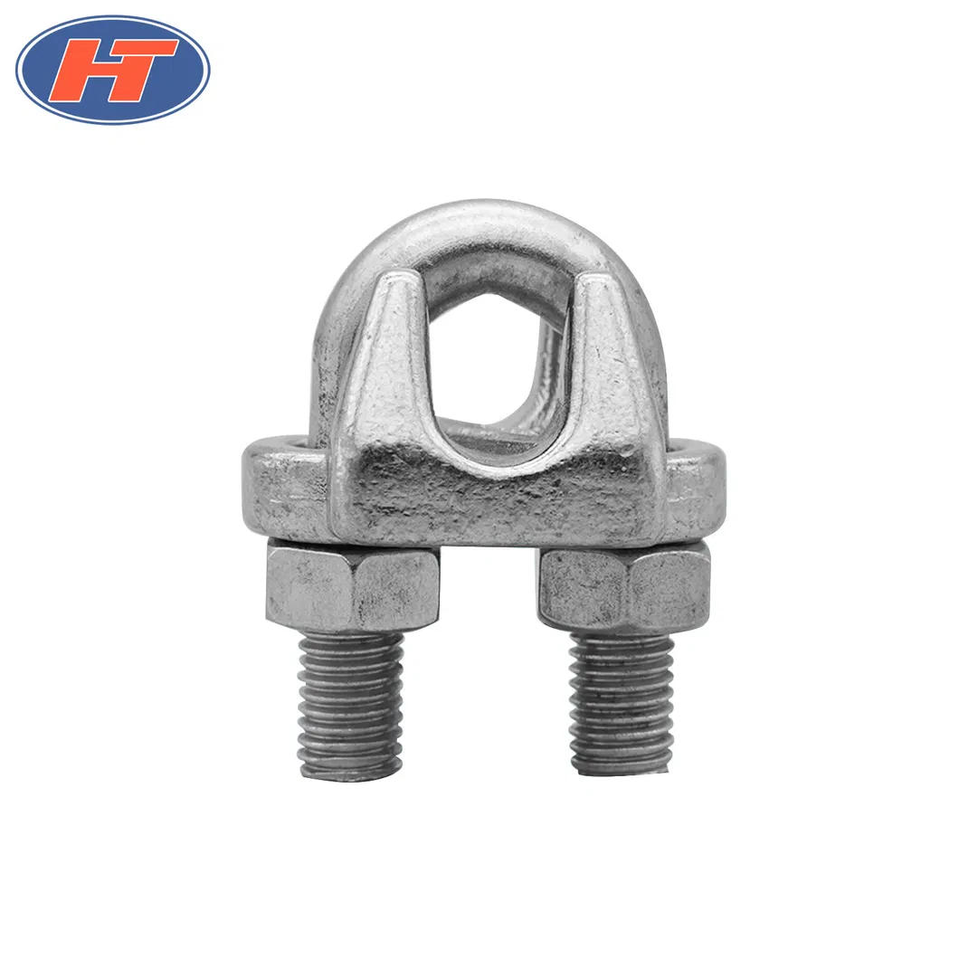 AISI 304/316 Wire Rope Clip with High Quality
