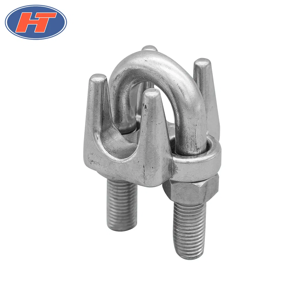 AISI 304/316 Wire Rope Clip with High Quality