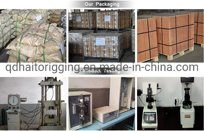 AISI 304/316 Wire Rope Clip with High Quality