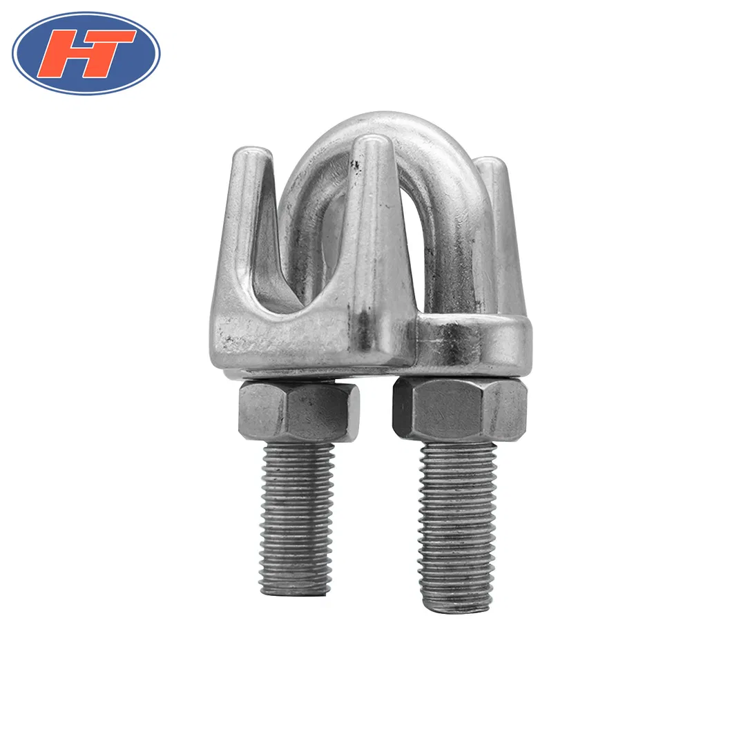 AISI 304/316 Wire Rope Clip with High Quality