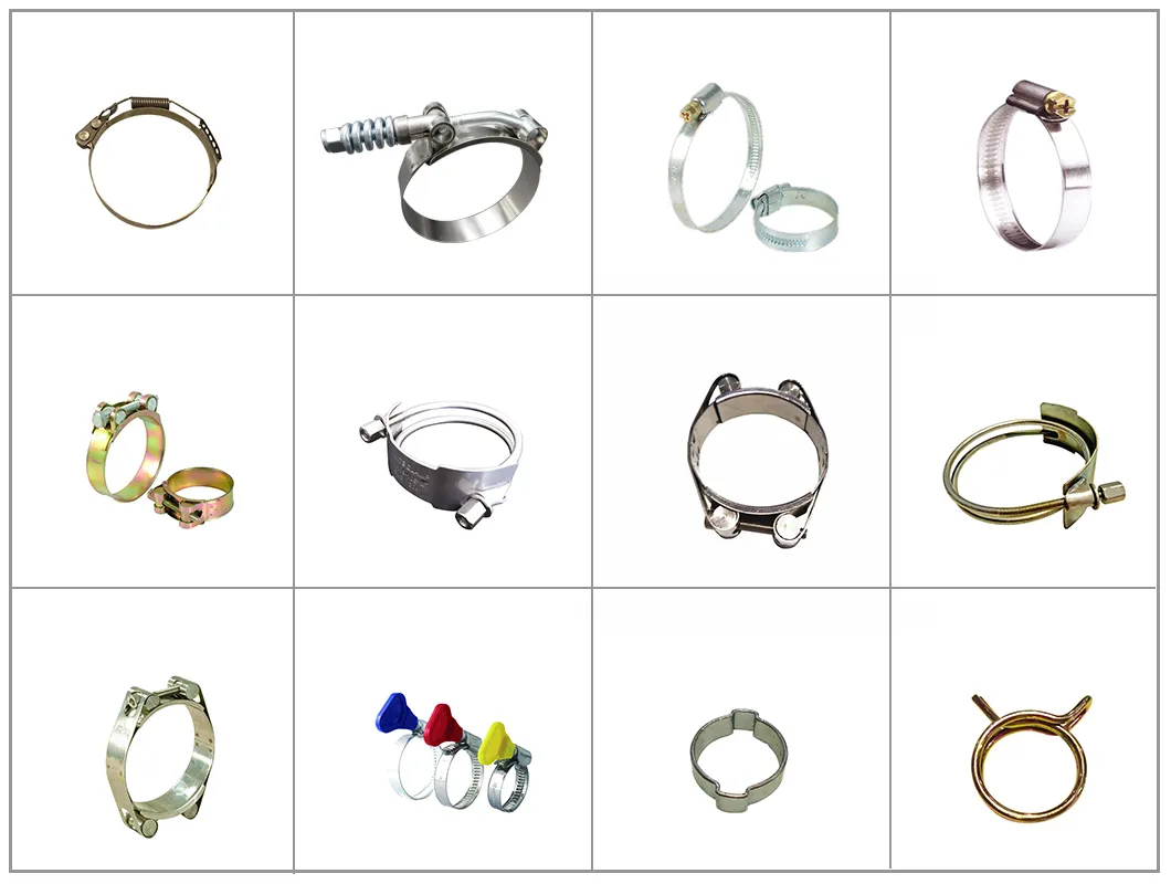 All Stainless Steel AISI301 W4 Band Width 12mm BS-GM Type Hose Clamps