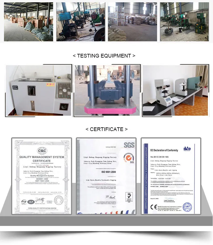 Alloy Steel 8620d Material Blue Coated 10mm G100 Lifting Chain