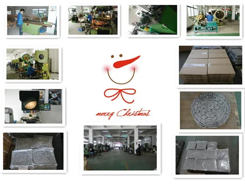 China Stainless Steel Roller Chain (35SS)
