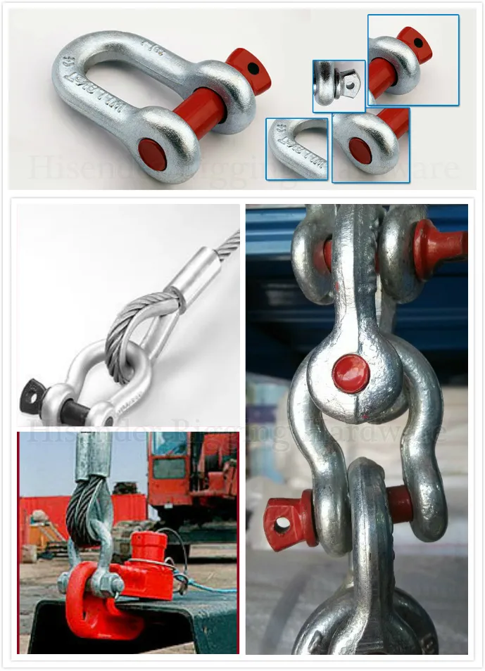 Drop Forged Bow Shackle, High Quality