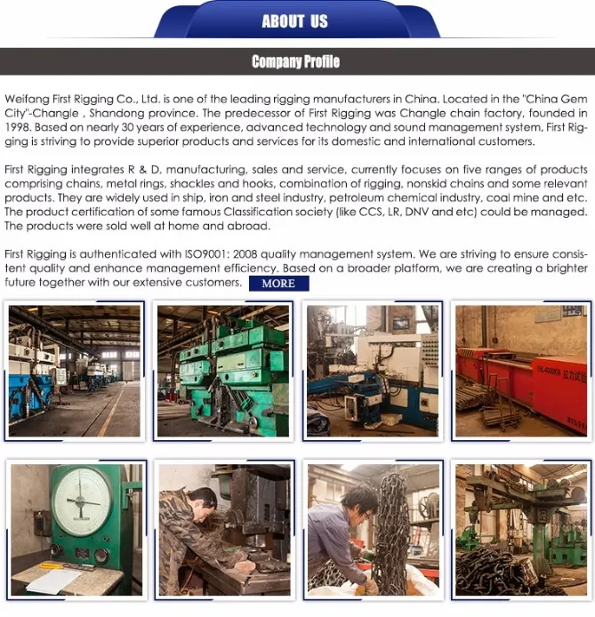 G100 Drop Forged Type Master Link Assembly with Flat