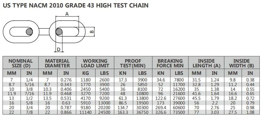 G43 Chain with Hook