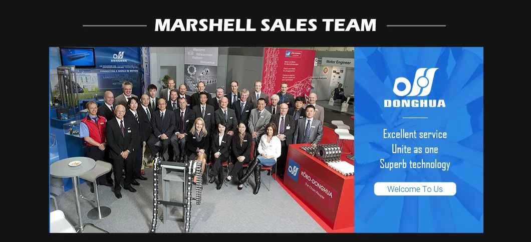 Industrial Roller Chain Short Pitch Precision stainless steel