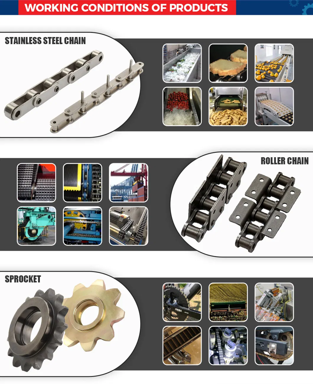 Made-to-Order 50ss-1 Roller Transmission Chain