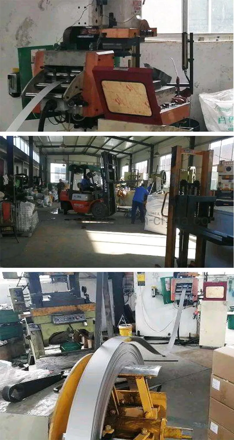 Outdoor Activity Stainless Steel 304 Spring Snap Climbing Buckle Hook Carabiner