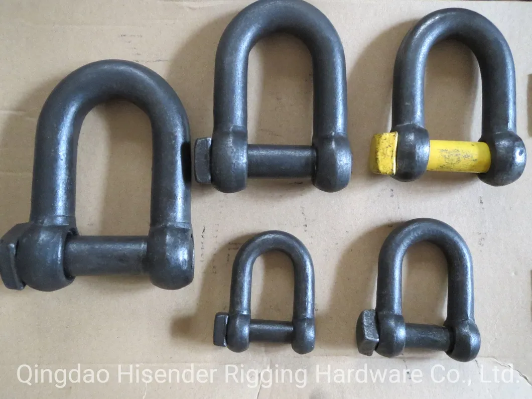 Rigging Hardware European D Type Trawling Shackle with Square Head