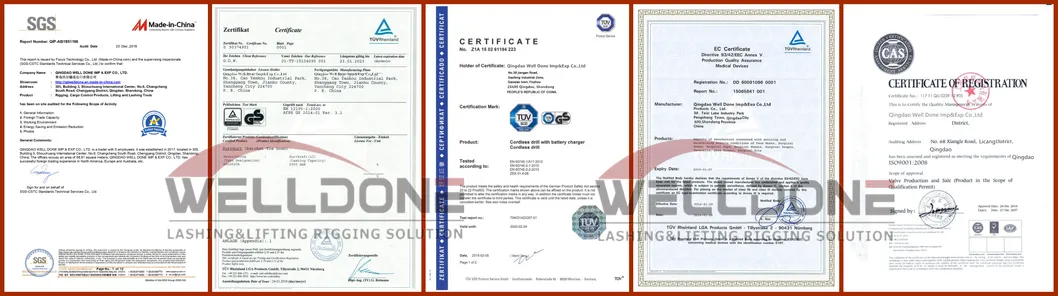 Wd645 G80 G100 Container Lifting Clevis Link