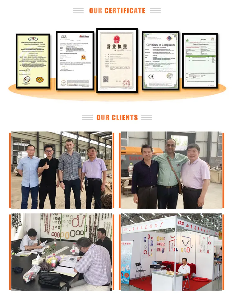 Wholesale Custom High Quality G80 Industrial Alloy Steel Lifting Chain Sling