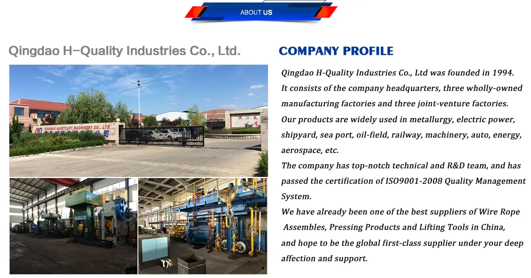 Zp DIN741 Mallealbe Steel Wire Rope Clips